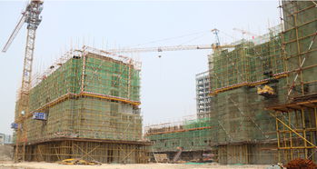 隆基泰和紫金府精品住宅建設工程施工進度一覽